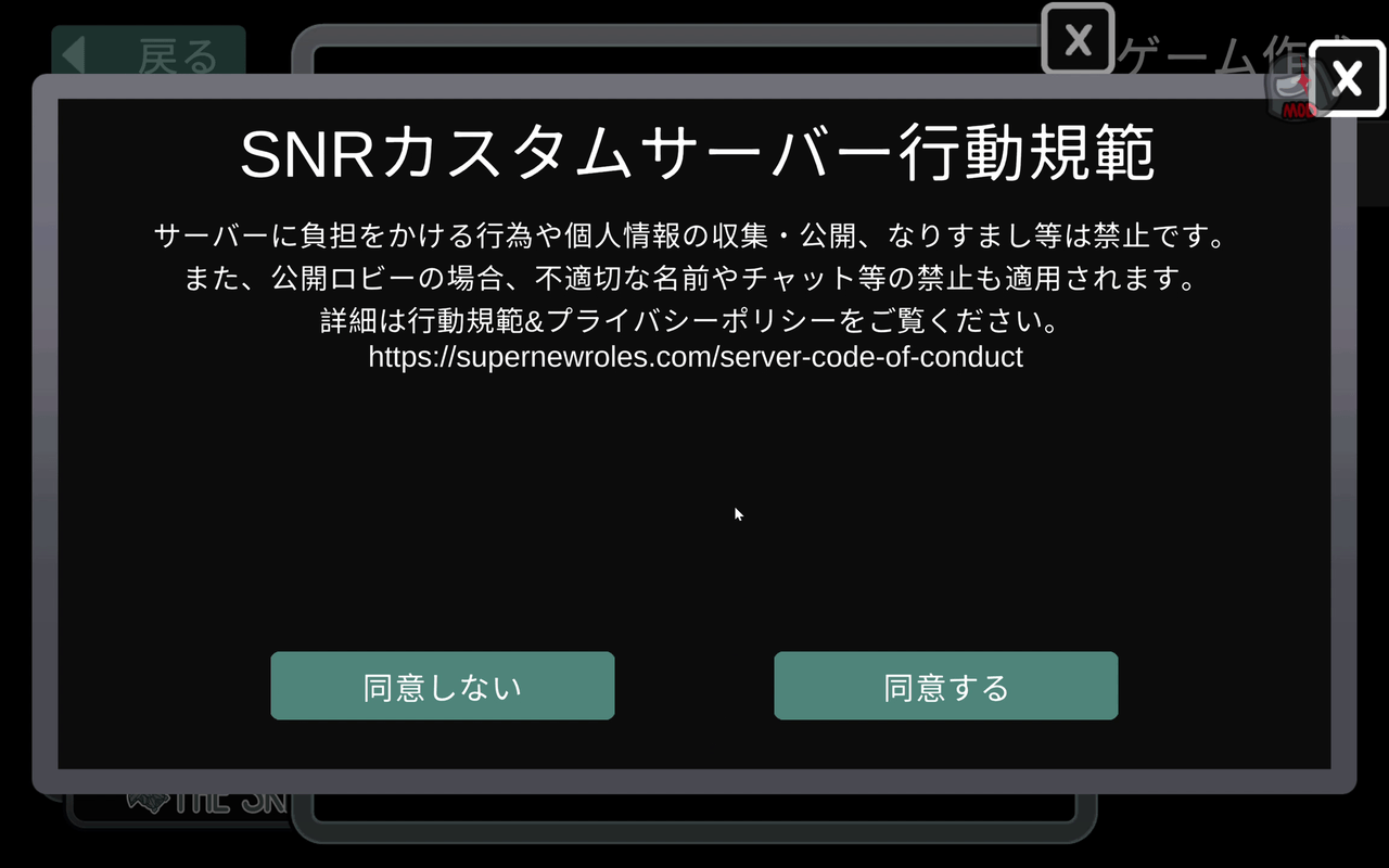 SNRカスタムサーバー行動規範への同意